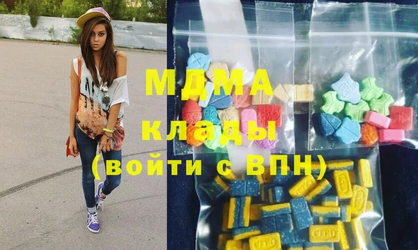 индика Богородск