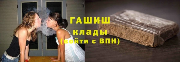 индика Богородск
