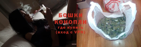 индика Богородск
