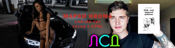 не бодяженный Бородино