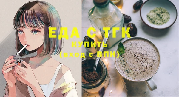 индика Богородск