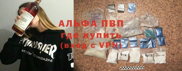 индика Богородск