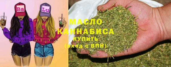 индика Богородск