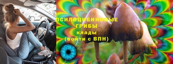 кокс Богданович