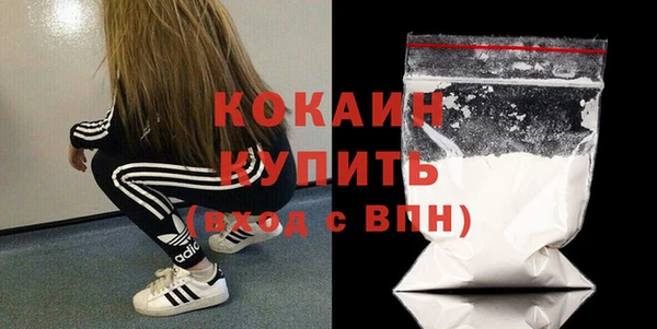 индика Богородск