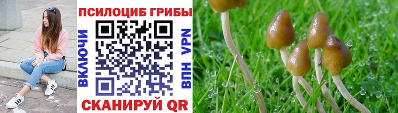 Галлюциногенные грибы Magic Shrooms  цены наркотик  Монино 