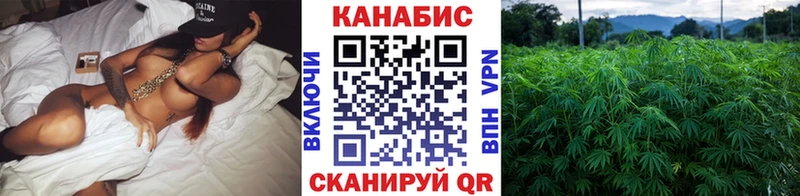 Каннабис планчик  Монино 